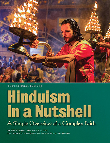 Hinduism In a Nutshell