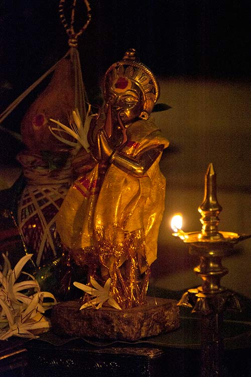 New Phase Begins with Homa
