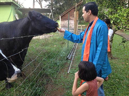Ragade Pilgrims Visit Cows and River