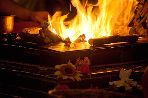 Homa Begins New Phase