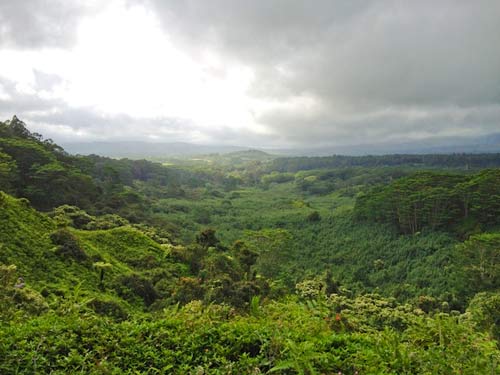 Retreat Hike High Above the Jungle