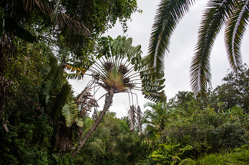 Aadheenam Sacred Gardens