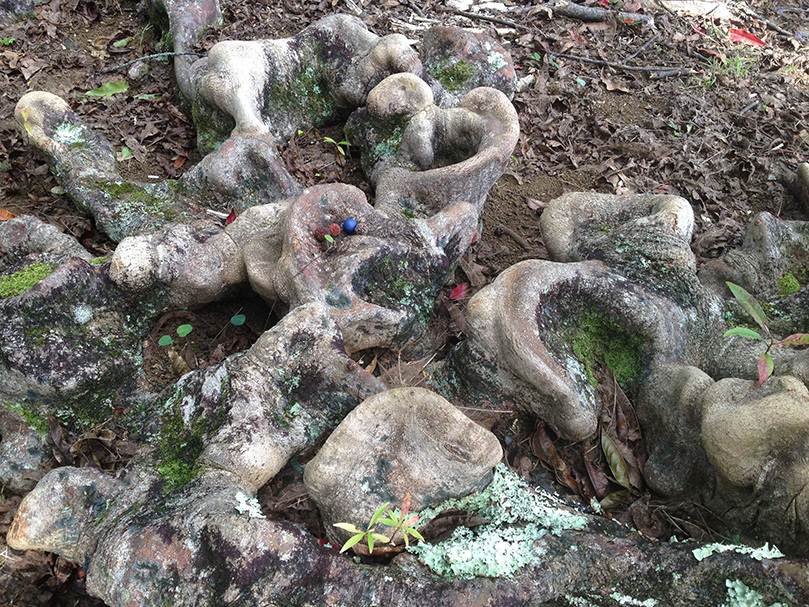 Strange Shapes