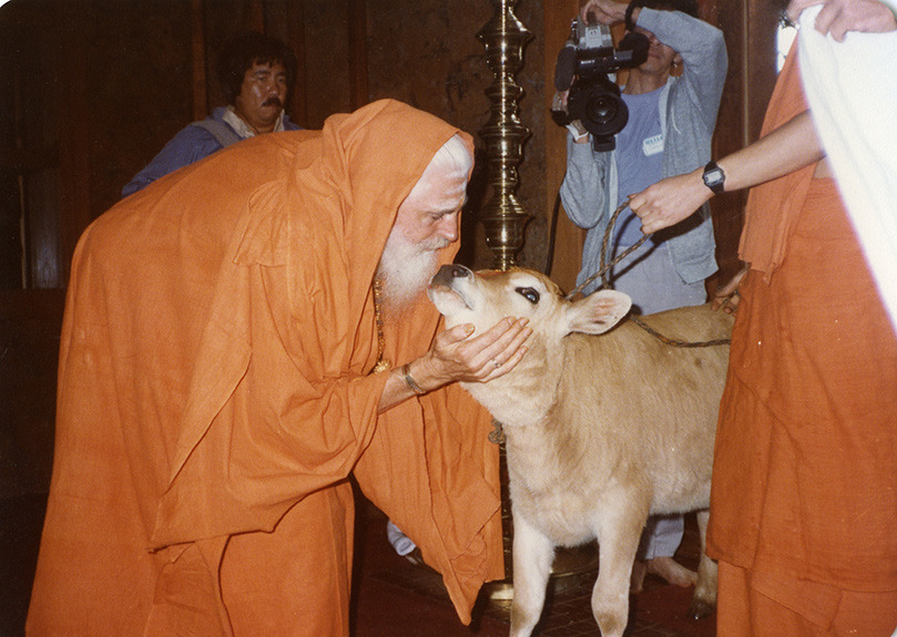 From Gurudeva's Teachings