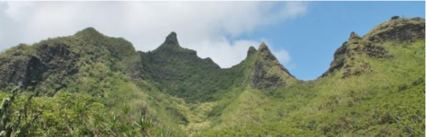 Kauai's Established Leadership Core Group