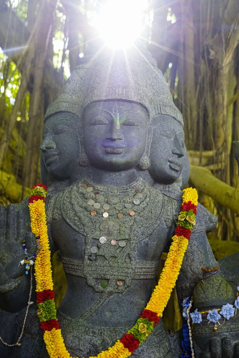 Sadhu Paksha