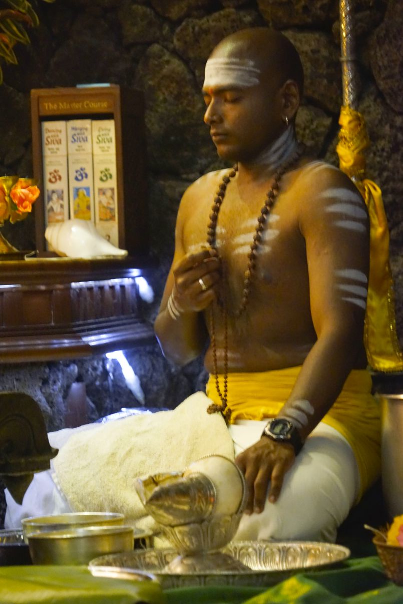 Morning Chitra Puja