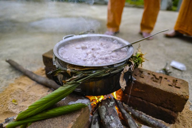 Thai Pongal 2019