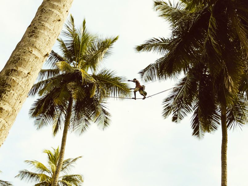 Visiting a Sri Lankan Coconut Grove