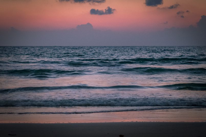 Whales Watching at Dawn