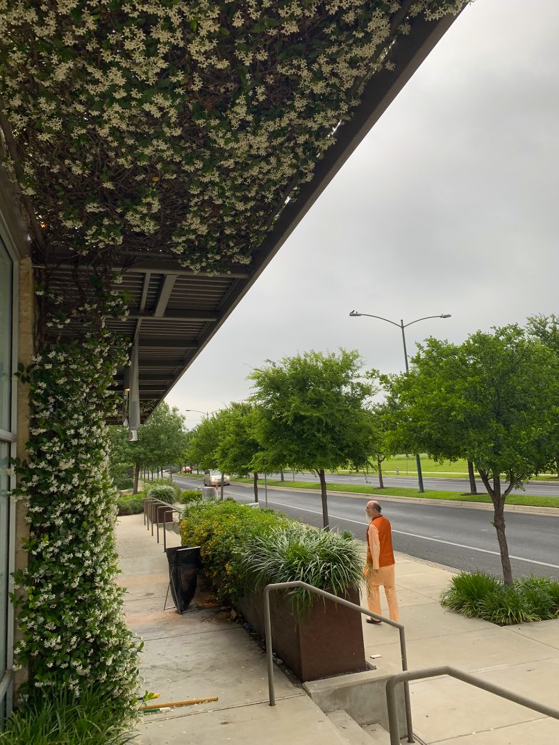 Exploring Austin