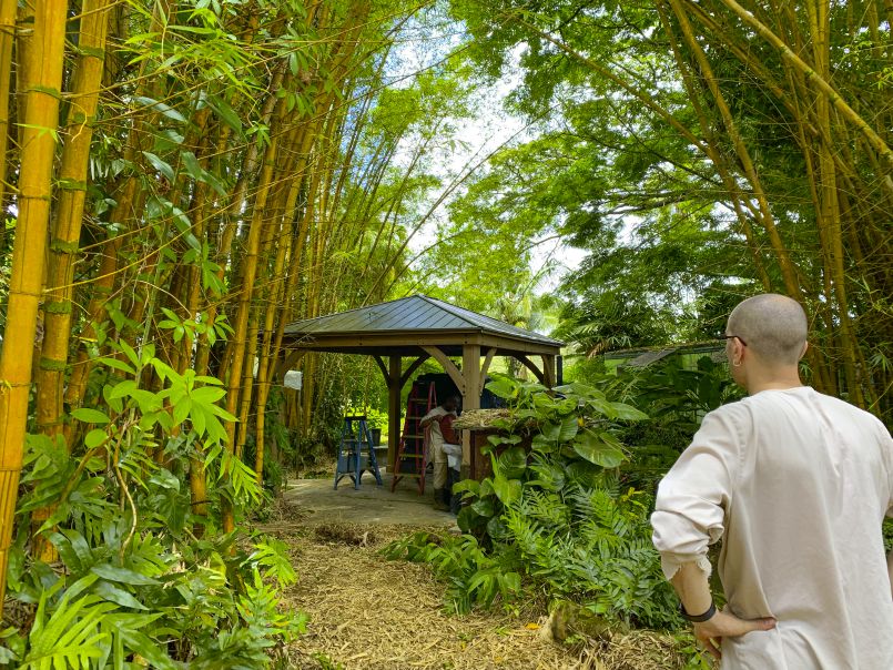 A Covered, Wood Fired Oven in a Bamboo Grove