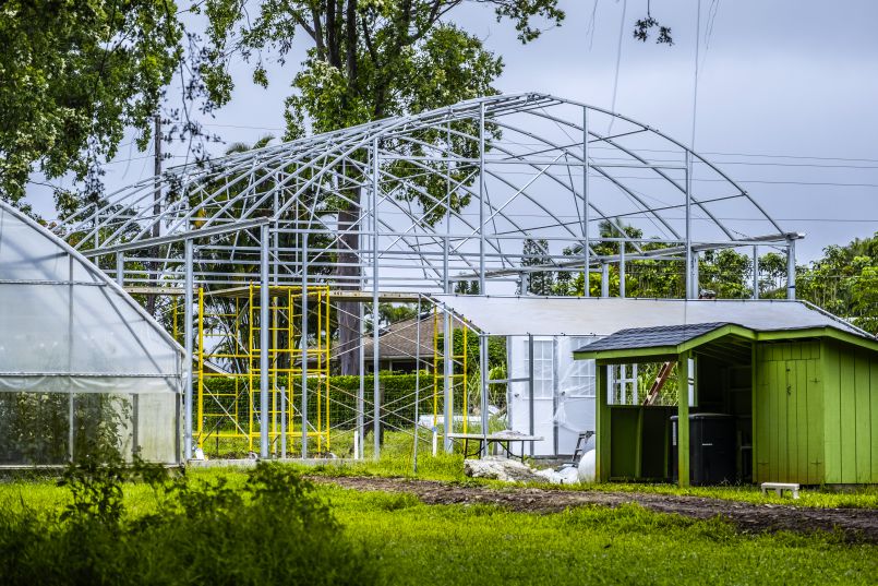 The Greenhouse