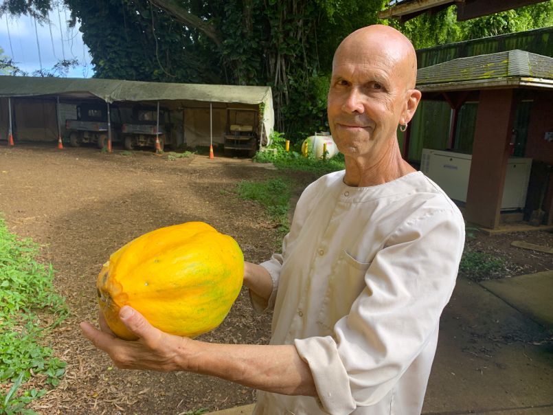 Ten Pound Papaya!