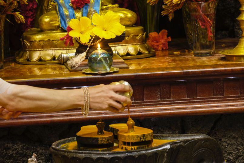 August 2019 Chitra Puja