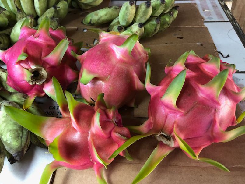 Fall Fruits Proliferate