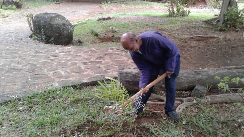 Mauritius Spiritual Park Landscaping