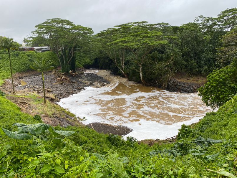 The Wailua River Floods its Banks