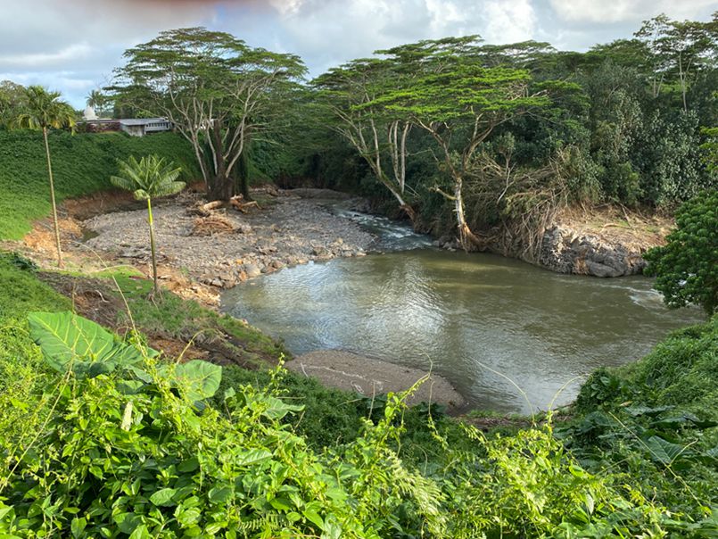 Our Pali Pond Before and After Our Recent Flood