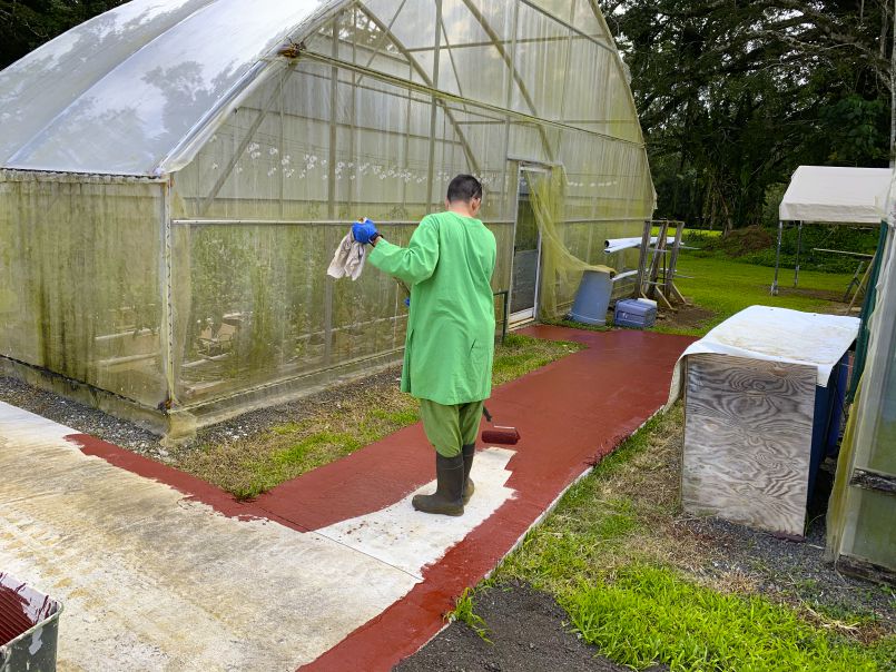Painting the Walkway