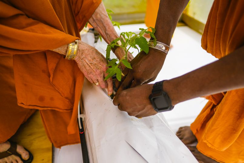 A Big Blessing for the New Greenhouse!