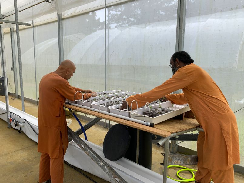 A Big Day for the New Greenhouse