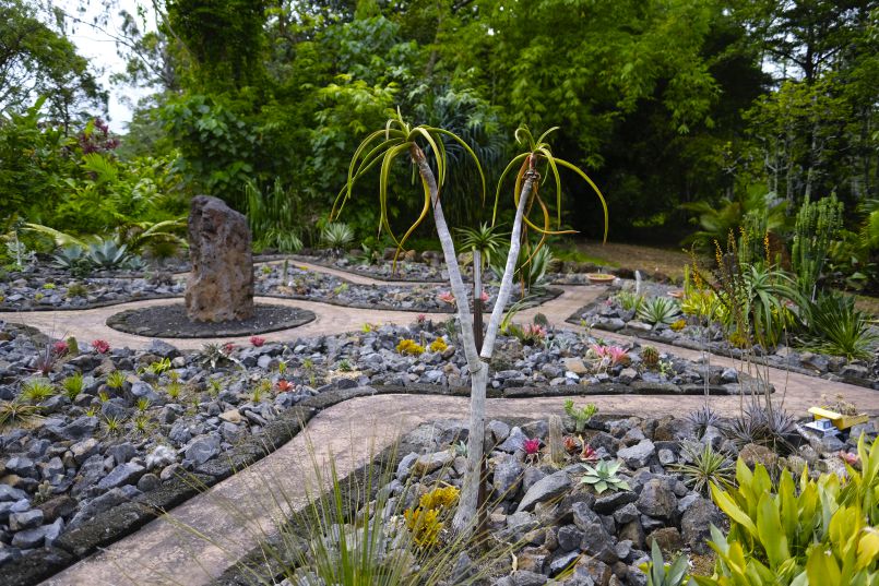 A Growing Shadkonam Garden