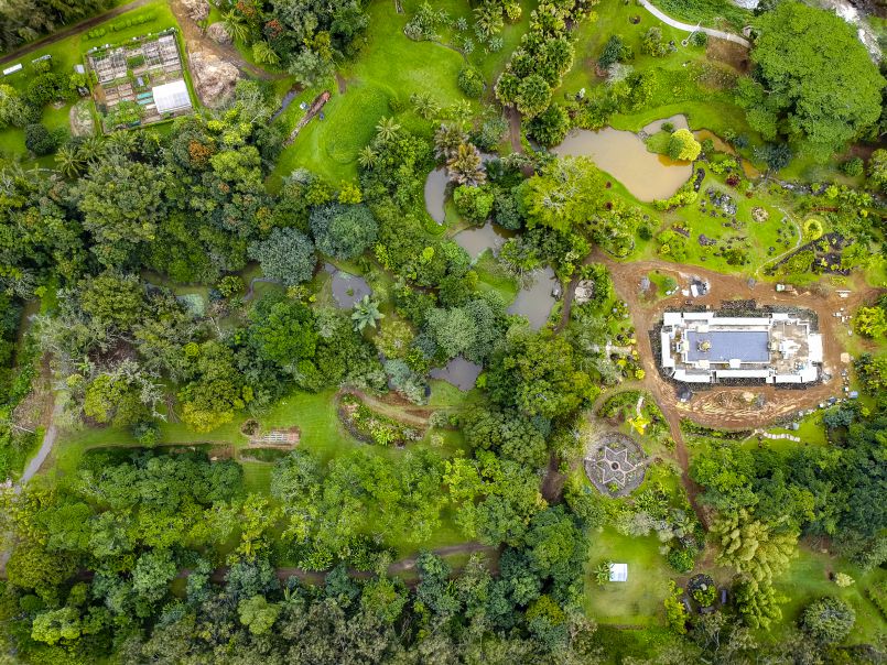 A View from the Sky