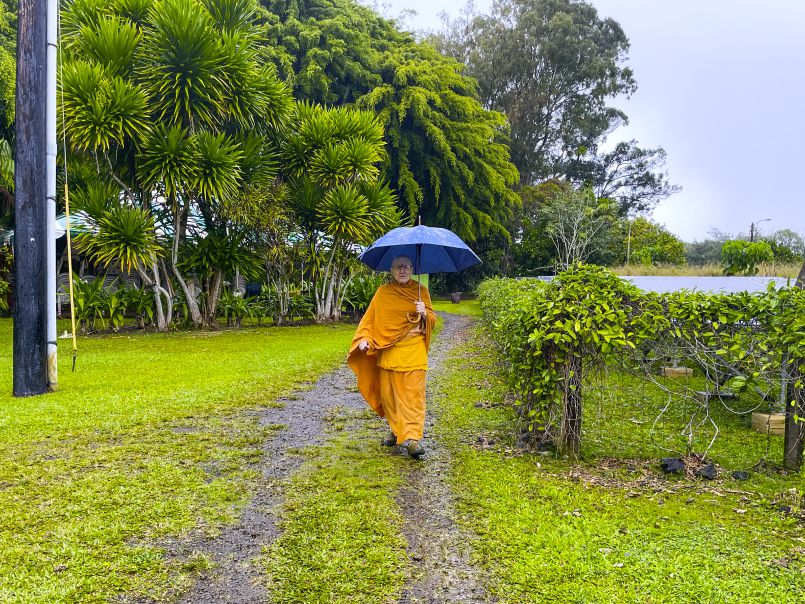 Tropical Showers to End the Phase