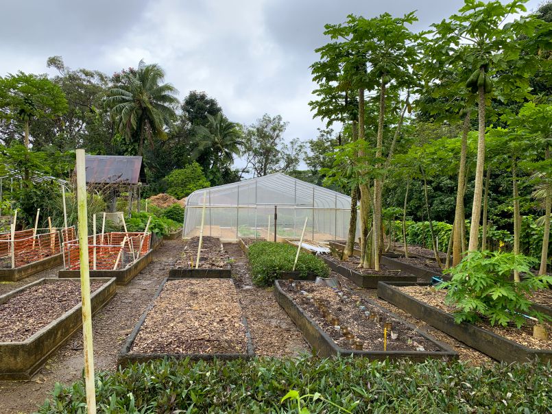 Growing Greens, Gourds and other Goods in the Garden