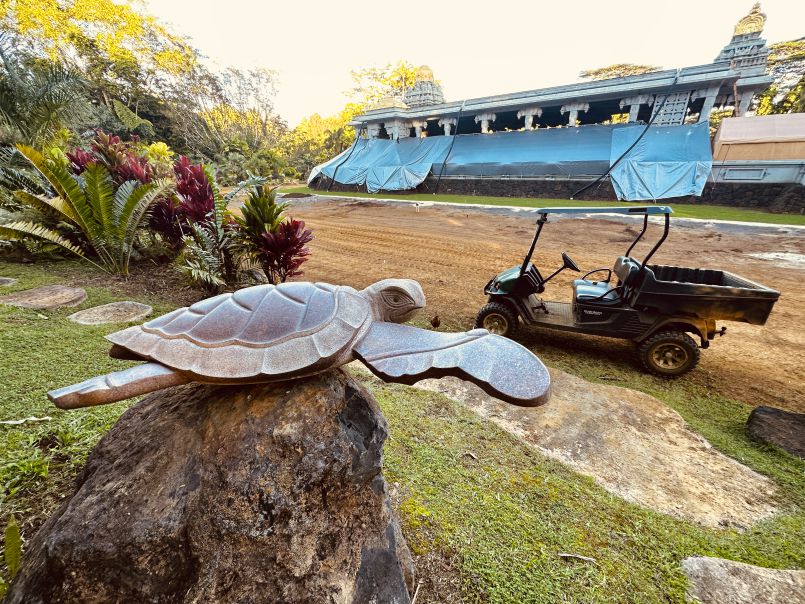 The Hawaiian Honu, Green Turtle