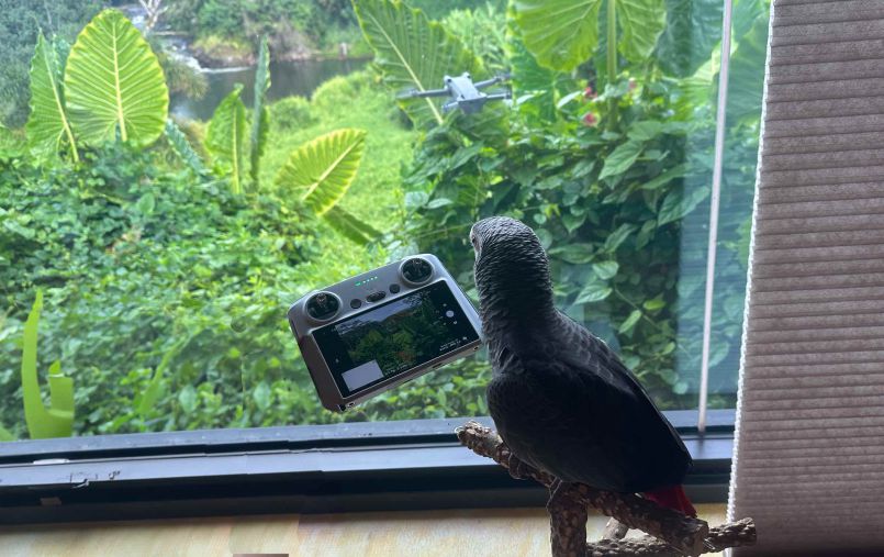 Two Unusual Photos