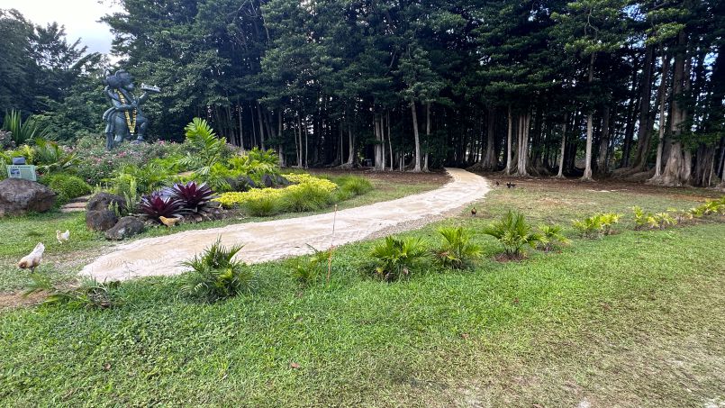 Forest Path