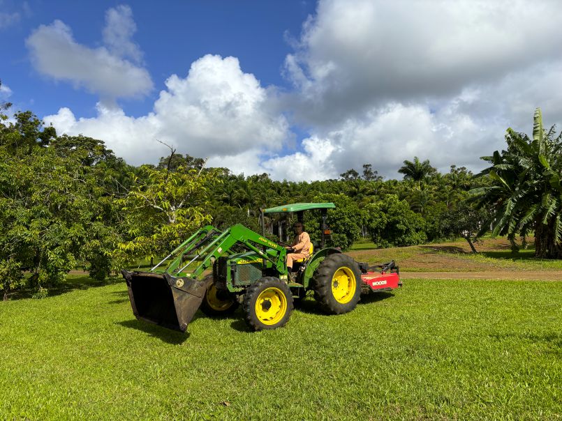 Annual Fruit Tree Fertilizing