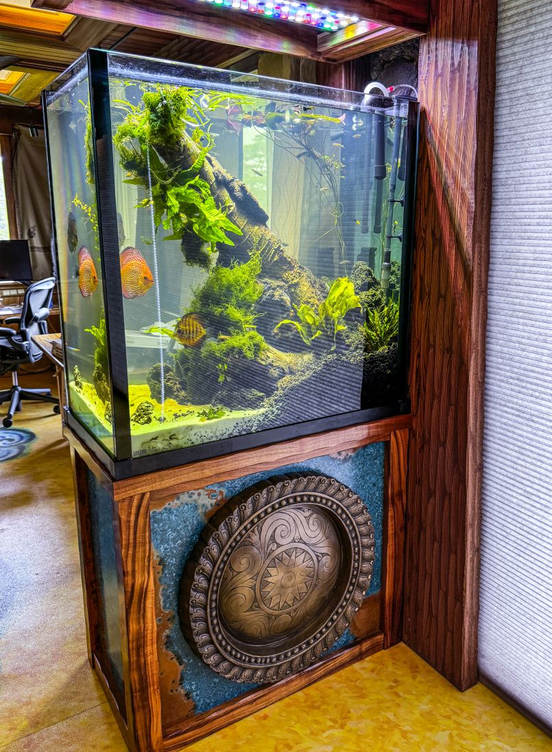 Our New Monk-Made Aquarium